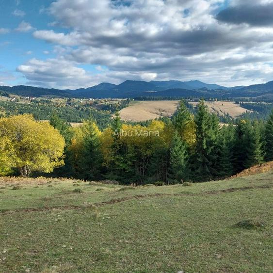 De vânzare! Parcele în Piatra Fântânele, BN, pe Drumul Romanilor, locația OPCIOA - 6