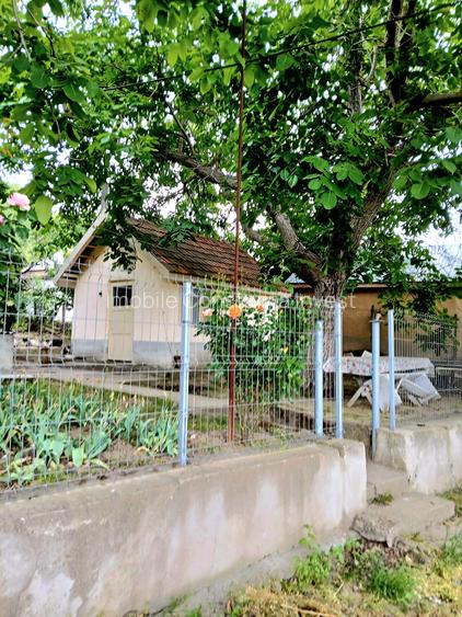 Seimenii Mari Casa 5 camere S.teren:4260 +vie+pomi fructiferi  vedere la Dunare - 9