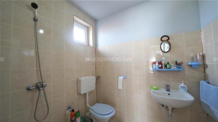 MICRO-FERMA + CASA IN VOIVOZI - BIHOR - 22