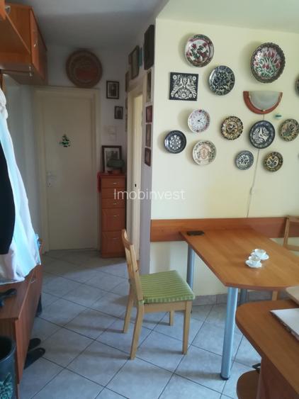 Inchiriez ultracentral apt. 3 camere, plus garaj - 5