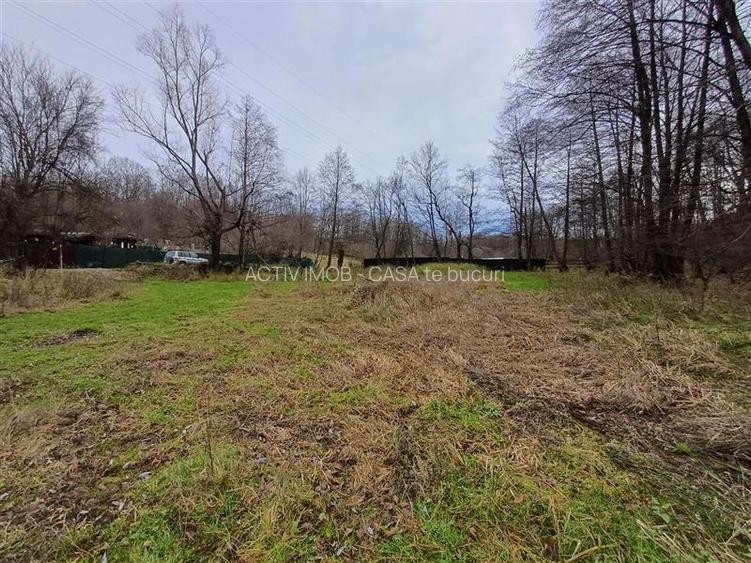 Resita, Teren Drept Intravilan, Langa Prau si Drum, 1308 Mp., 15 Euro Mp., Renk - 7