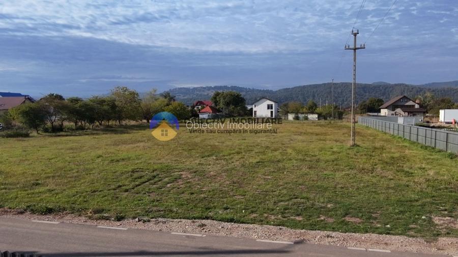 Teren de vanzare 1800 mp – Dumbrava Rosie - 2