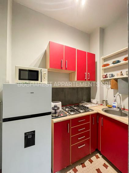 Apartament 2 camere in zona Universitatii / Centru Vechi - 16