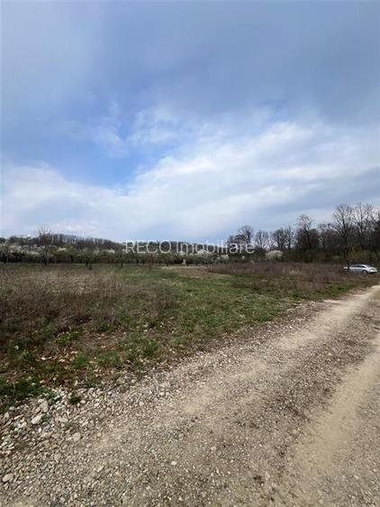 RECO Teren Saldabagiu de Munte, la 5 minute de spitalul TBC - 5