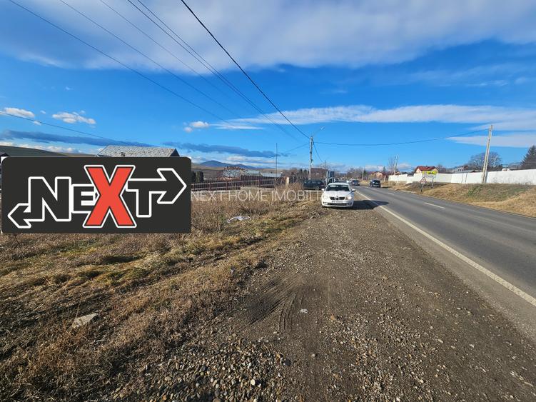 Teren Turturesti la strada principala - 4