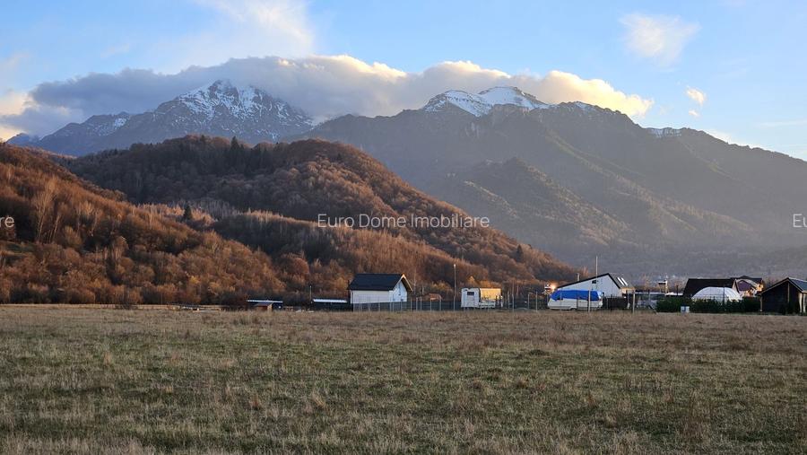 Rasnov -Glejarie 1000 mp front 42m posibilitate duplex sau 2 constructii - 20