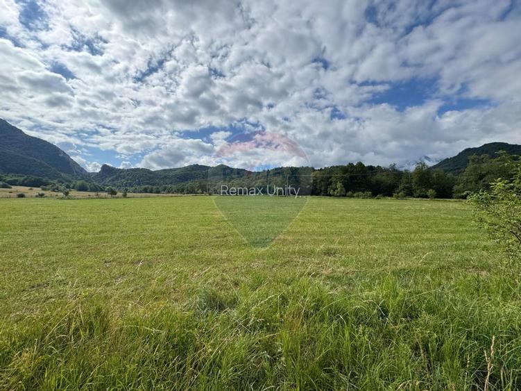 Teren de vanzare  Intravilan 19.341 mp – Cheile Râșnoavei, Parcelabil - 6