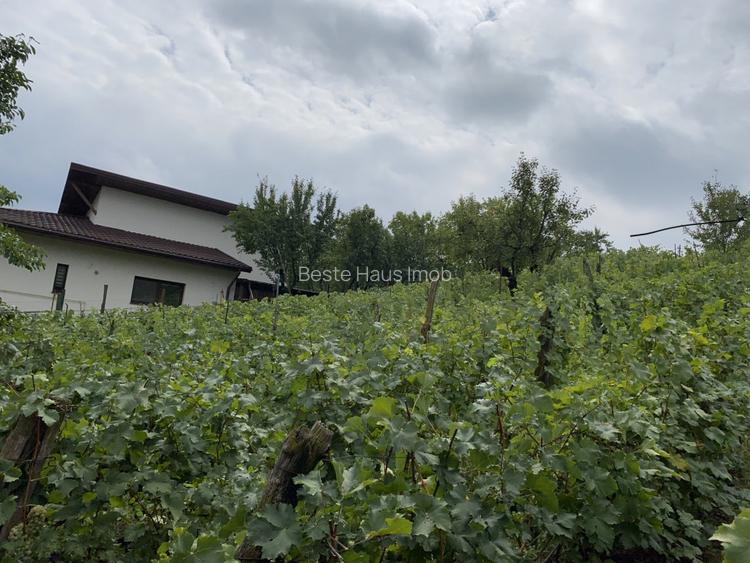 Teren 1000mp(impartit in 2 loturi) deschidere 28m Blejoi,vedere superba - 2