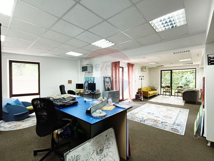 Vanzare Spatiu Comercial / Birou, Str. Popa Tatu -Cismigiu, Investitie - 8