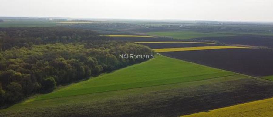 Vanzare Teren Central, Moara Vlasiei - 3