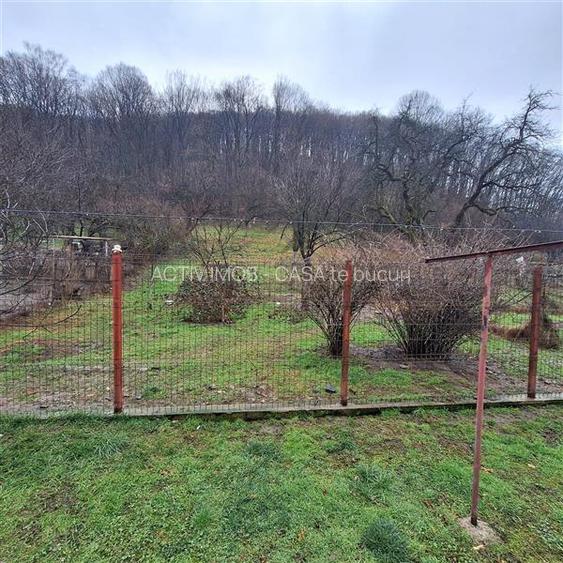 Bocsa Montana, Casa mare la strada principala - 27