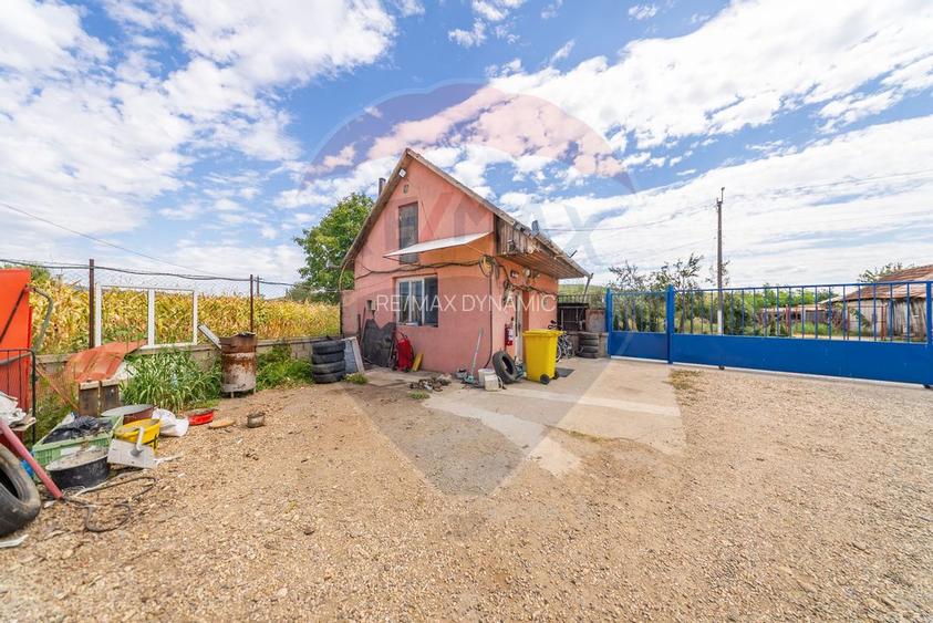 Spațiu industrial cu potential de vanzare in Paulis,Arad - 18