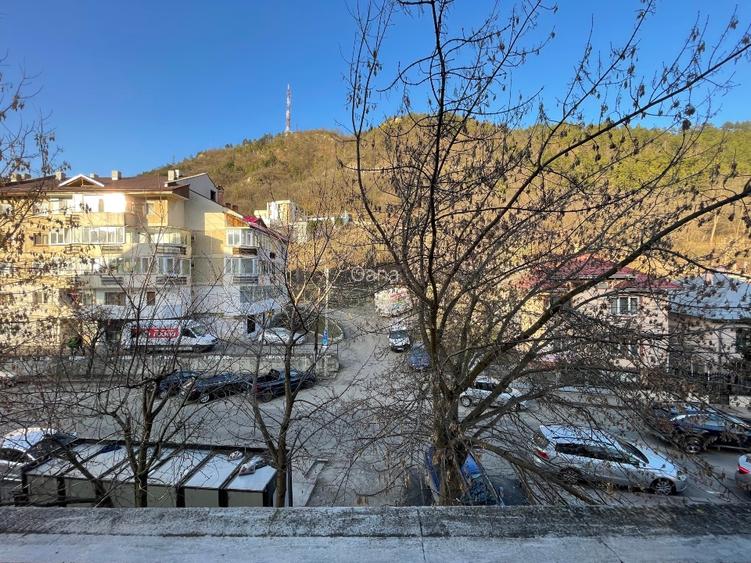 Apartament 3 camere decomandat Bdul Traian - vedere Pietricica - 4