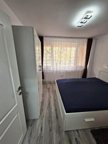 Campia Libertatii-Gheorghe Petrascu - 9