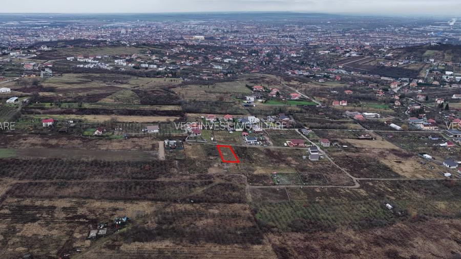 Teren Intravilan, Nicolae Beldiceanu - 3