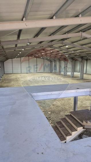 Spațiu industrial Balotesti - Tunari - Aeroport Otopeni - 17
