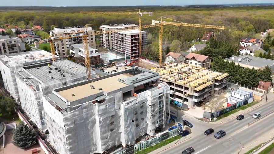 312411ed-0f65-456a-a868-6f143cebf609 - 2