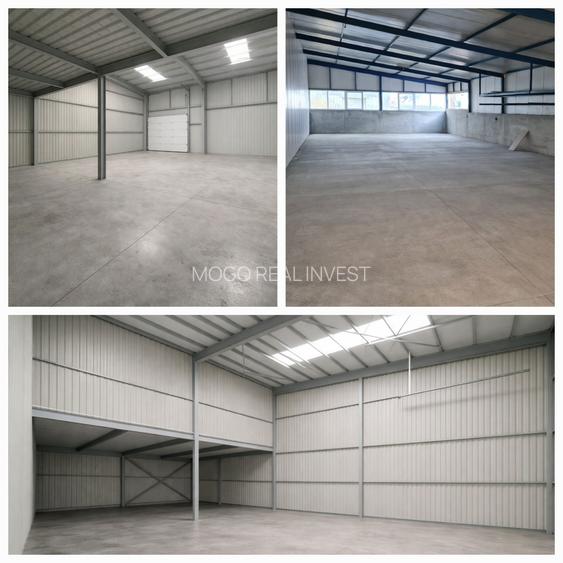 Proprietate MOGOSOAIA - 100% inchiriata - Randament 10% - 3