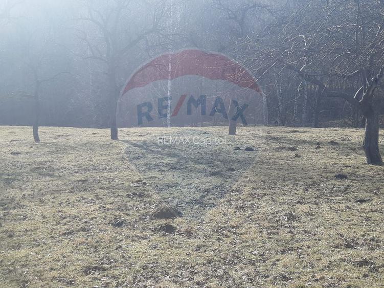 Teren 10,279 mp Bran- Predelut / Strada Pe Tarina nr. 70A - 2