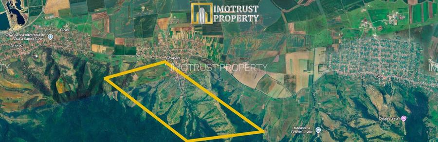 Teren agricol de vânzare 17,51 ha Covăsânț – 7.000 €/ha - 4