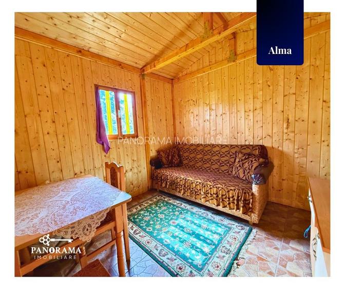 Teren Intravilan cu cabana  in satul transilvanean Alma - 11