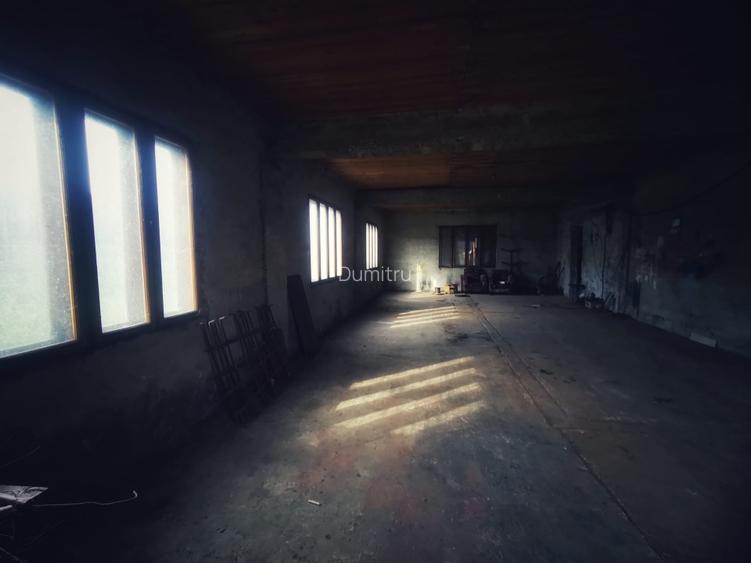 Teren + hală comercială + casa + spațiu logistic - Autostrada A8 - 7