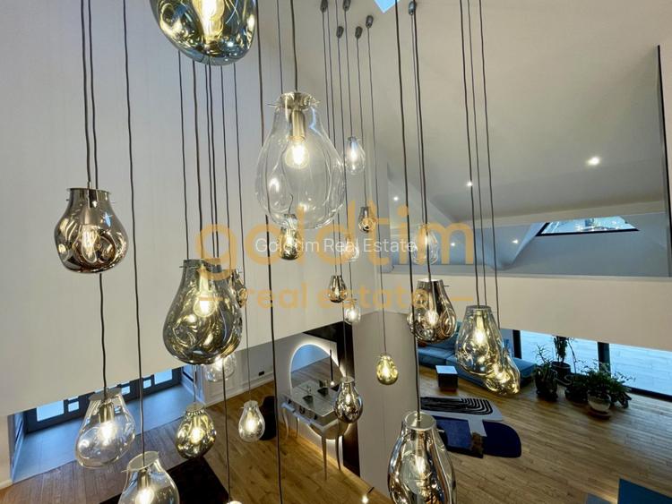 UNICA/ABSOLUT SUPERBA/ VILA INDIVIDUALA/IANCU NICOLAE/CURTE GENEROASA - 46