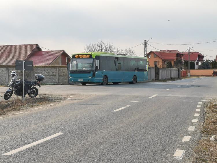 Teren intravilan la asfalt si statie autobuz Ilfov Cernica Posta
