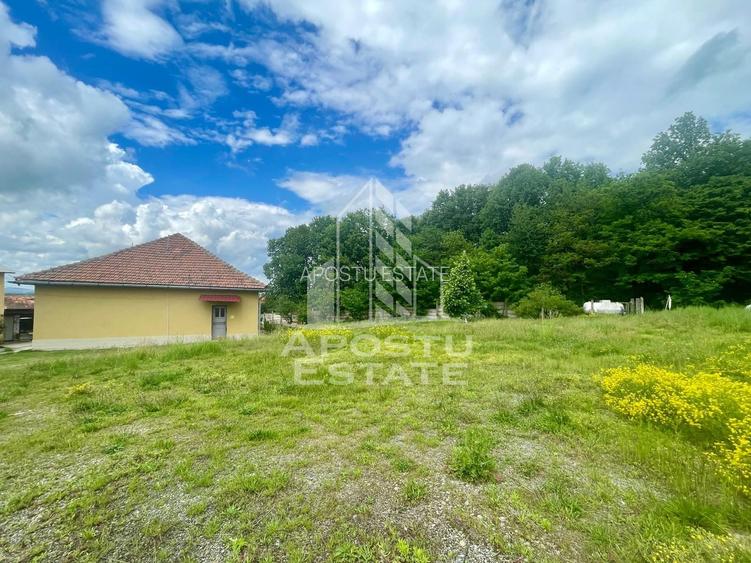 Spatii productie si depozitare, zona Sebis - Prunisor-Carand - 16