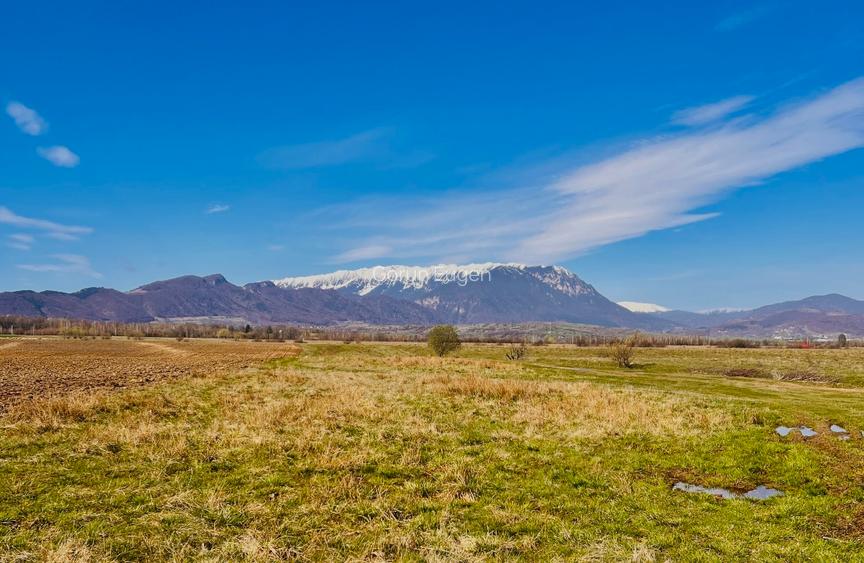 Teren intravilan Râșnov – Glejerie  5 parcele x 1000 mp  Capăt Str. Greierilor - 2