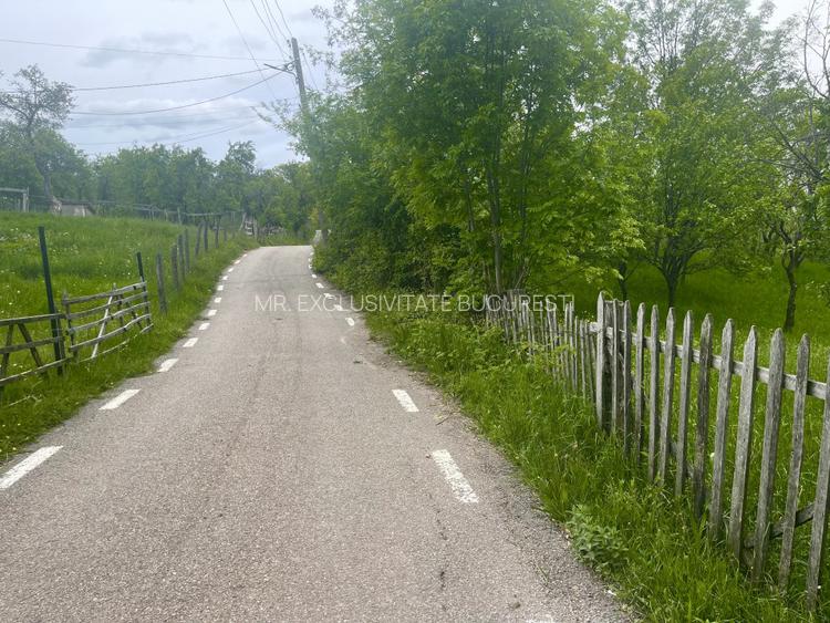 Teren intravilan Sotrile 6762 mp - Investitie, camping, agroturism - 3