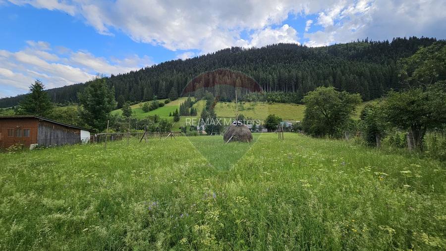 Casa 225 mp, teren intravilan 4822 mp C. Moldovenesc, Suceava - 19