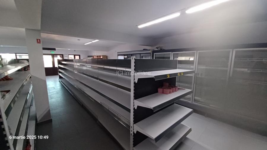 Spatiu comercial si Vila P+1 de vanzare in Comuna Cosereni, jud.Ialomita, 50 km - 6