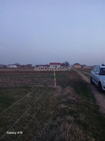 RECO Teren intravilan Girisu de Cris - 3