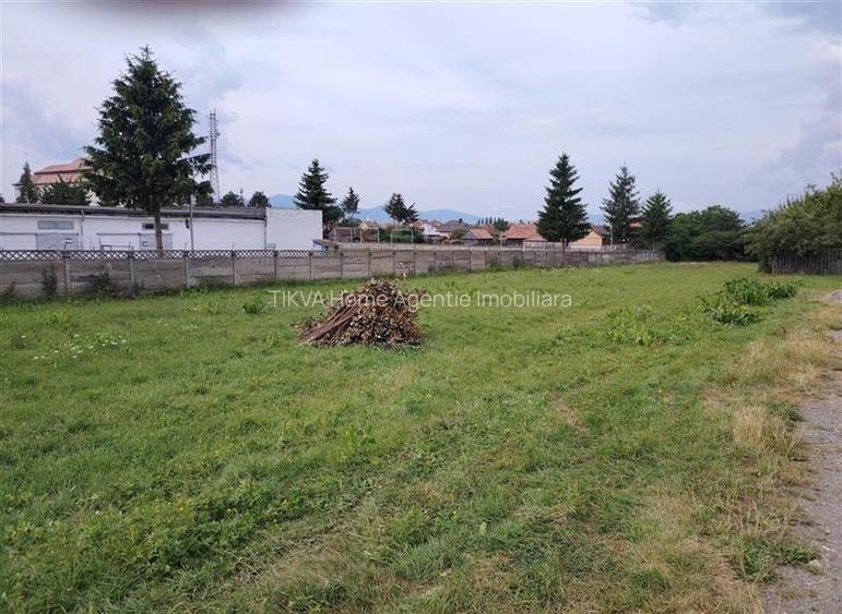 Teren intravilan in Gheorgheni (str. Gradina Csiky) - 5