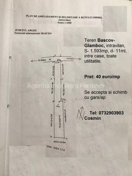 Teren Bascov, diverse suprafete - 3