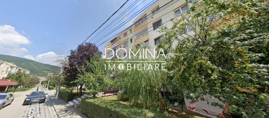 Vanzare apartament 2 camere, 42 mp - Bumbesti-Jiu - strada Jiului - 10