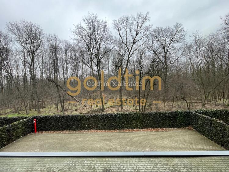 SUPERB/COMPLEX REZIDENTIAL/GYM/PRIVELISTE PADUREA BANEASA/2 LOCURI DE PARCARE - 50