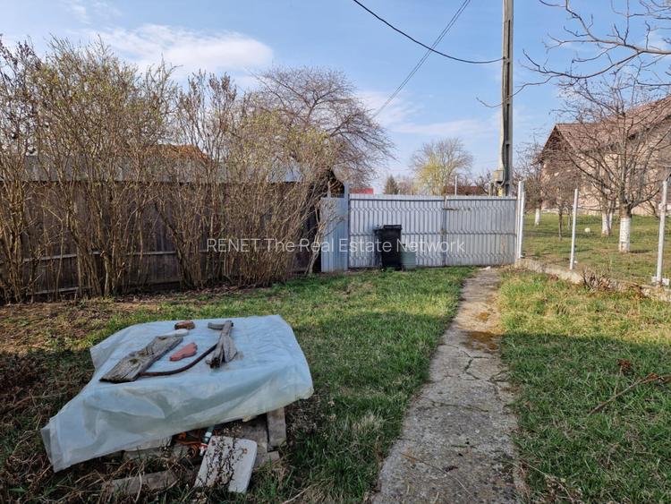 Teren - Roman  -Trifesti - ieșire la lac - livada pe rod - 9