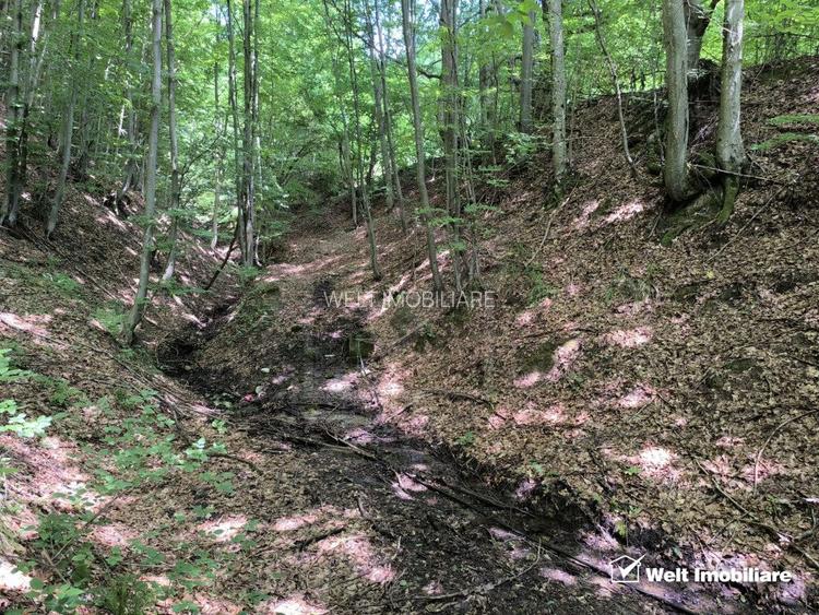 Casa de vacanta, cu lac, 5640 mp teren, Huta, com. Chiuiesti, jud. Cluj - 27