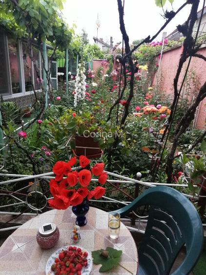 Casa de vanzare in Oravita  - 2