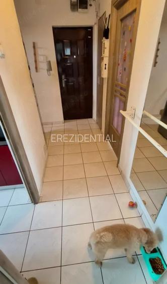 Apartament 2 camere decomandat Obregia - 9