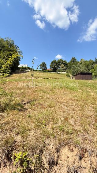 Valea Rosie, teren intravilan 3434mp, langa padure. - 7