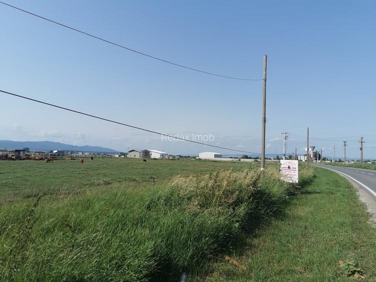 Teren intravilan industrial pentru constructie hale Codlea - 4