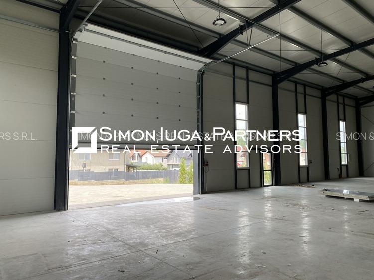 Hala nou construita 2025 de inchiriat - 4