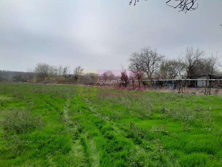 BARCANESTI -  casa +curte+teren 16k mp - 26