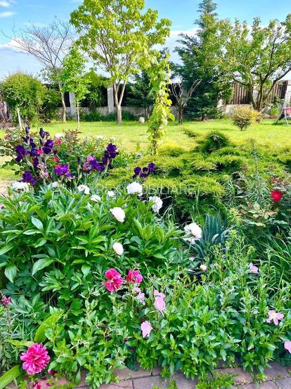 Casa individuala cu pozitie centrala, teren 1140 mp - Sanmihaiu Roman - 18