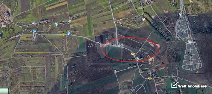 Teren 8000mp str. Soporului, front 250m, Liu - 2
