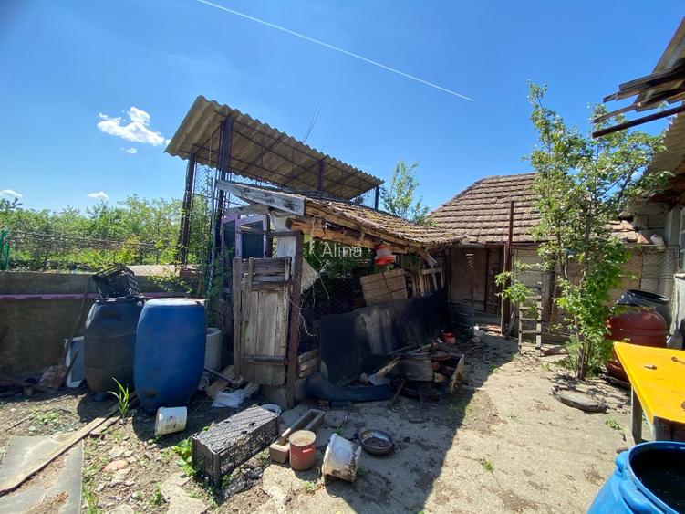 Casa de vânzare in Pecica Arad - 9