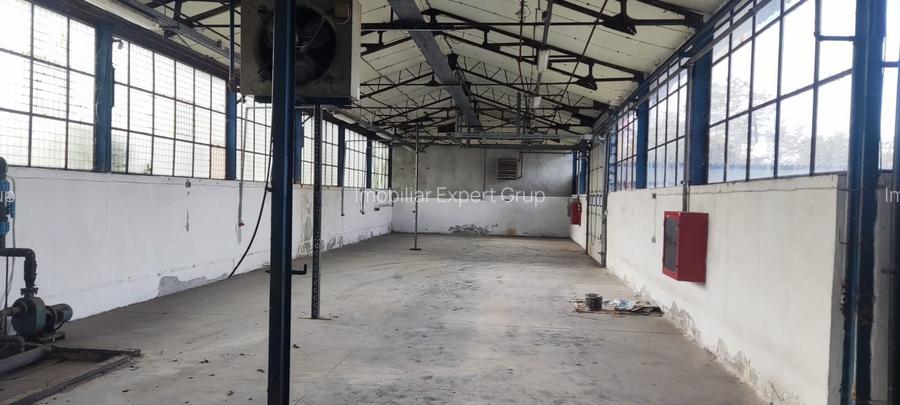 Hale + platforma betonata mp Giurgiului ( Zetari ) - 5